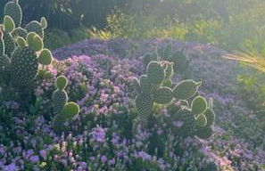 Casa Pipa Alhaurín el Grande - vrijstaande casita met privé zwembad en grote tuin - Photo 35