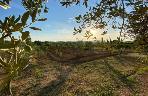 Stone Holiday Homes Stankovci with pool and Mediterranean gardens - Foto 40