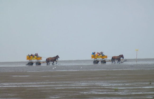 Haus Dünenglück - Foto 49