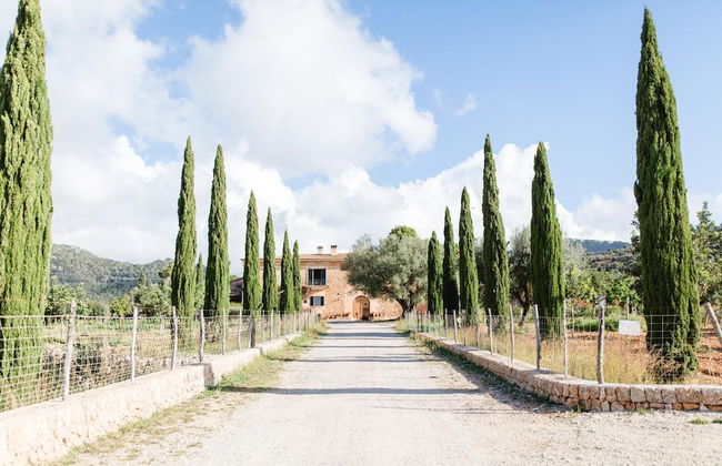 Finca Es Cabas - Photo 53