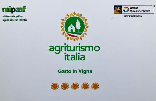 GATTO IN VIGNA - Foto 40