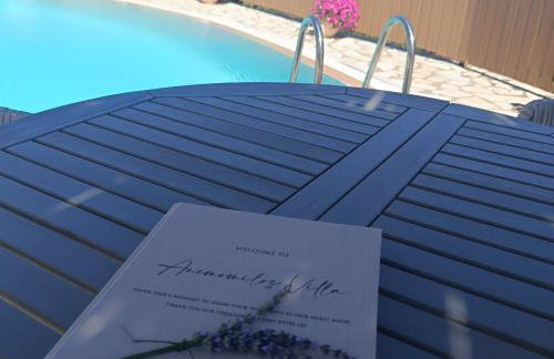 Anemomilos Villa - Foto 10