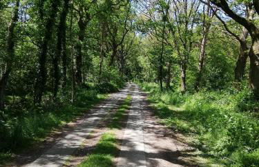 Etzel-Lodge Weideblick - Photo 27