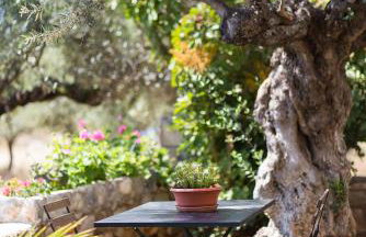 Small paradise in Saint Nicolas Village ! - Foto 37