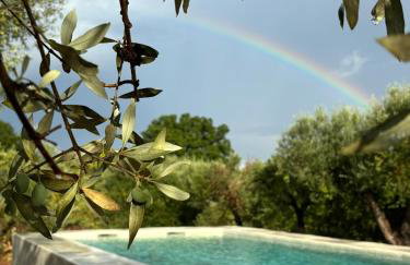 Trulli Biancopumo - private pool - Foto 6