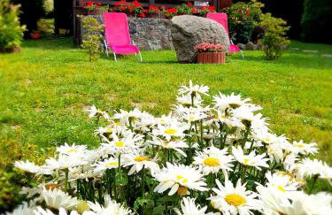 DOMEK Łapalice Kaszuby - Foto 20