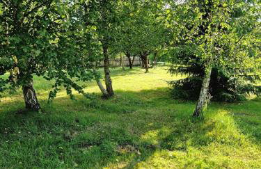 Cabin120 Siemiany- Slowlife na Pojezierzu Iławskim - Foto 31