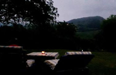 Flor de Pomar - Foto 26