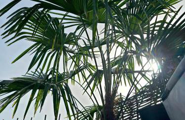 Lavish Country Retreat 30mins Taxi Ride From West London - Photo 27