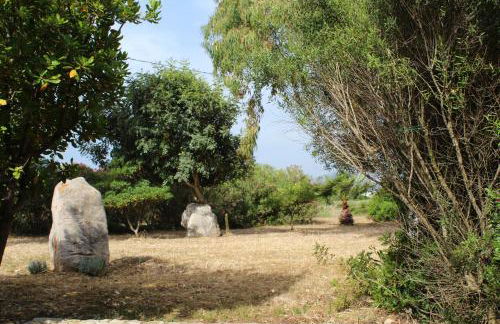 Olmedo Casa Vacanze - Foto 8