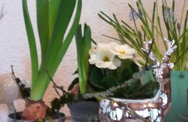 Ferienwohnung Hasenfratz - Foto 28