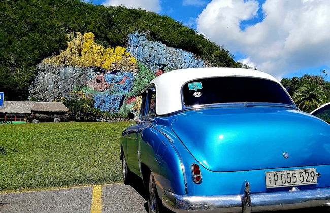 Excursão privada ao Valle de Viñales de carro clássico - Foto 9