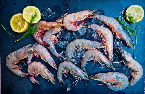 Esplanade Magic 4 - Foto 14