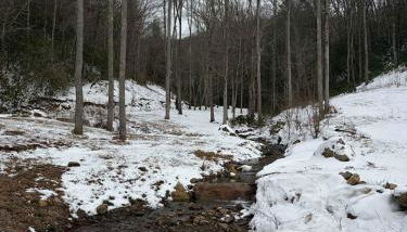 Mountain Cabin & Creek-Front Nature Retreat NC - Foto 2