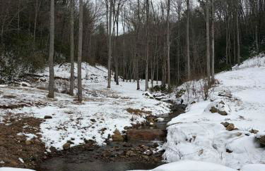 Mountain Cabin & Creek-Front Nature Retreat NC - Foto 2