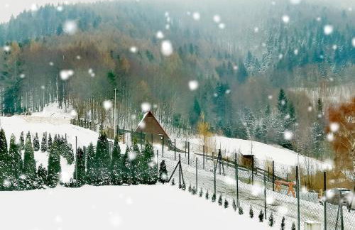 JAWORNICA HOUSE domek z pięknym widokiem - Foto 50