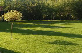 Agroturystyka Stokrotka - Foto 37