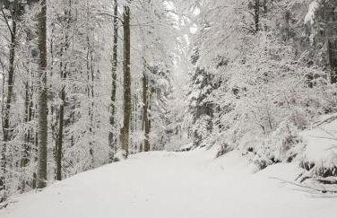 L’Atelier de Gustave - Foto 54