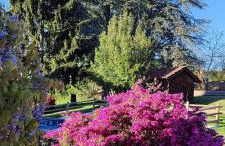 Country Corner Lago Maggiore - Foto 27