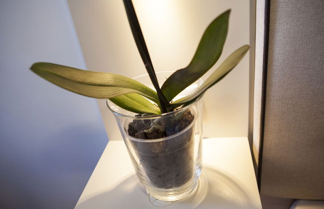 B&B Il Barbero - Photo 58