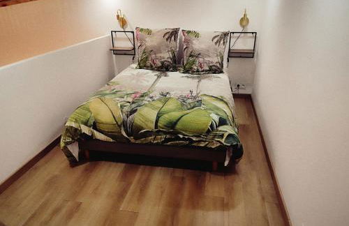 Le chaleureux loft 1 minute du tram - Foto 16