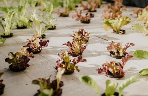 Cortijo Santa Clara - Foto 67