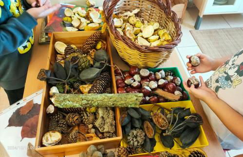 Cal Pastor de Planès - Foto 21