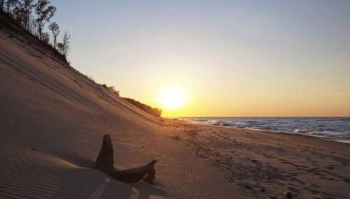 Downtown Retreat, Hot Tub, Firepit, Grill - Foto 3