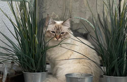 Attraktive 3 Zimmer Wohnung in Toplage,Nähe Messe - Foto 20