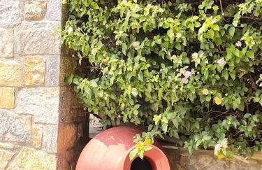 Elia Village by Irida Iris Group - Foto 8