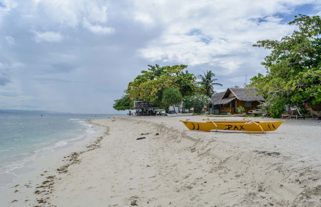 Avistamiento de delfines y ballenas en Bohol - Foto 5