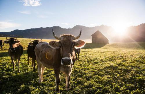 Ferienwohnung Socher "Am Wold" - Foto 2