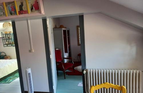 hô choucas - Foto 14