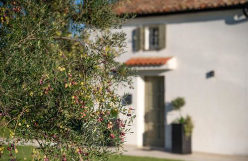 Casa Mille Olivi - Peaceful Lake View House, Private 50m2 Pool, near Motovun - Photo 29