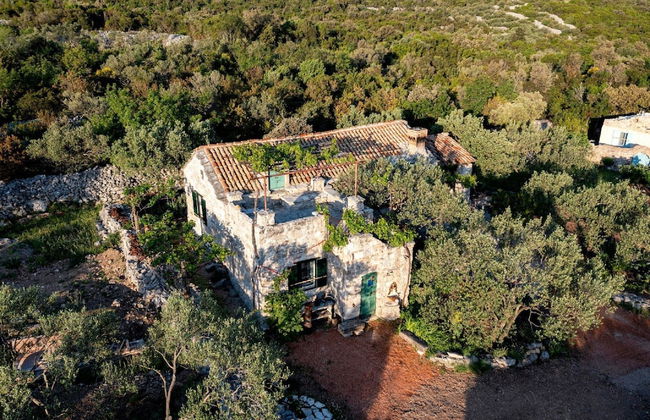 Lavender Cottage - Foto 19