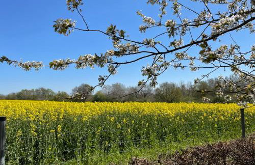 Apartment Nelke by Interhome - Foto 26