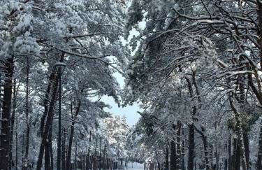 Chata Lawendowa - Foto 59