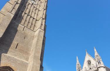 Charmant studio au cœur de ville - Foto 32