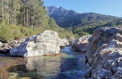 Appartement 1 à 4 personnes, balcon vue mer - Foto 23