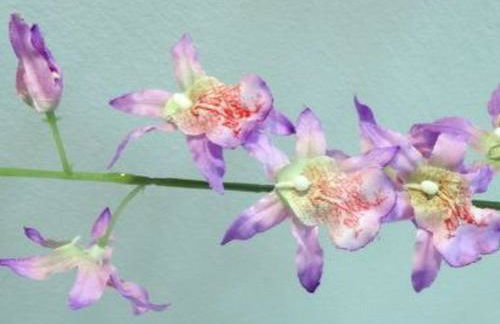 Holiday Home La Palmita mit Meerblick by Interhome - Foto 12