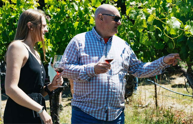 Excursión a los valles de Napa y Sonoma - Foto 3