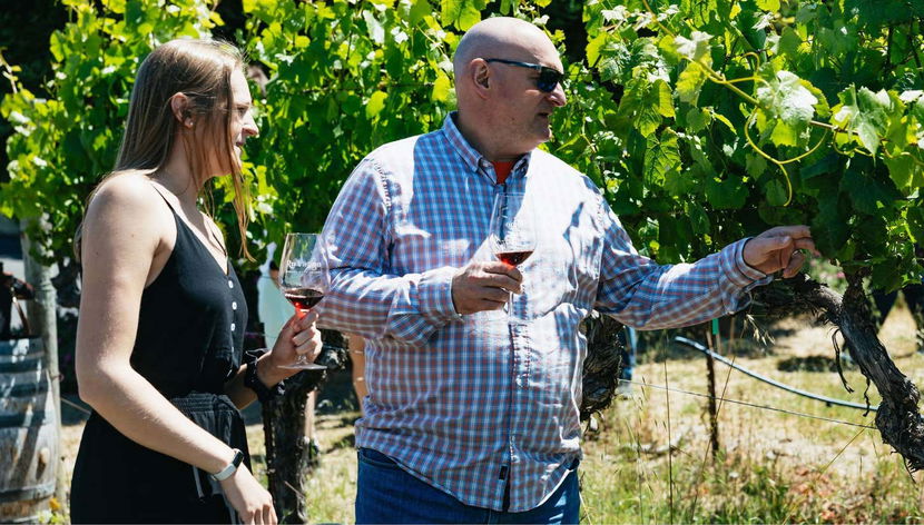 Excursión a los valles de Napa y Sonoma - Foto 3