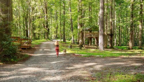 South Fork cabin at Cabin Fever in NC - Foto 3