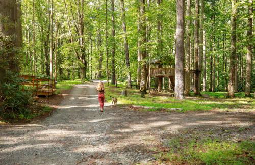 Buzzard Roost cabin at Cabin Fever in NC - Foto 29