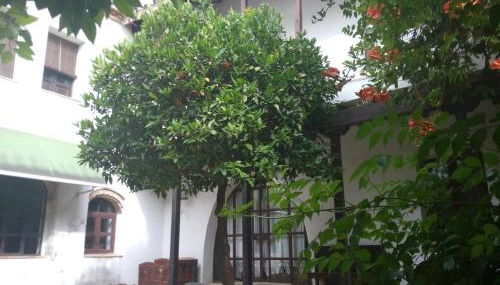 Patio Del Limonero - Foto 3