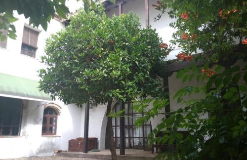 Patio Del Limonero - Foto 3