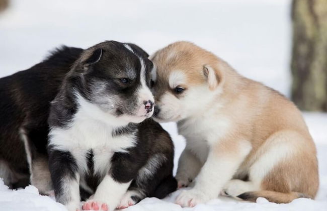 RovaVisit Center - Photo 1