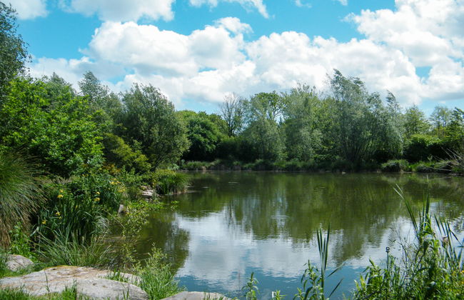 Gîte Triskell - Foto 19