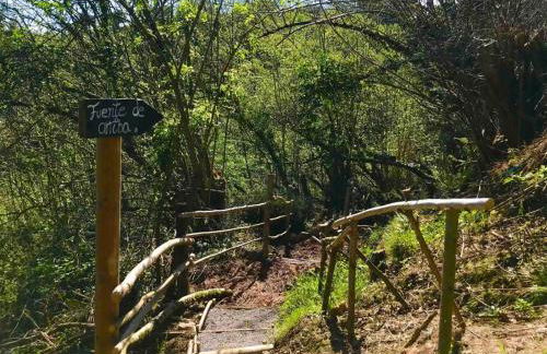 La Fontana, descubre Cabarceno y Cantabria - Foto 14