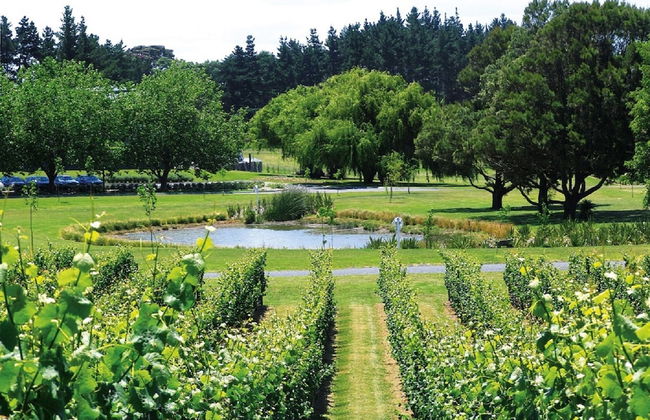 Harbour View Cottage B&B - Foto 50